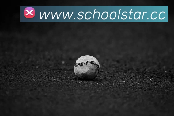 App Interface Preview